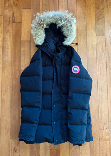 Canada goose carson - carson, arctic