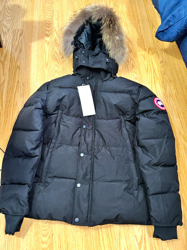 Canada goose men black - canada,
