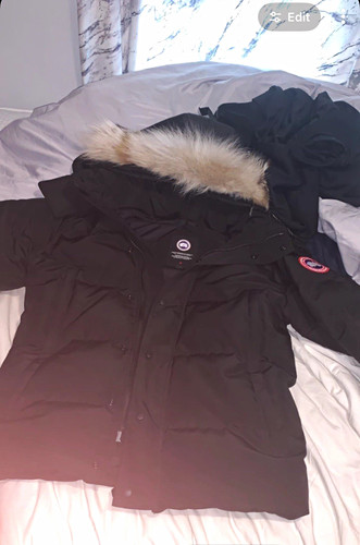 Canada goose black - goose, down