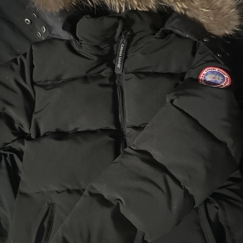 Canada goose black - goose,